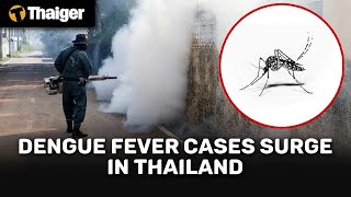 Thailand News  Dengue Fever Cases Surge in Thailand [upl. by Dyrrej]