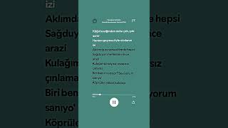 Cevapsız Çınlama  Lyrics Edit  Slowed  shorts keşfet edit tiktok lycris [upl. by Enileuqkcaj347]