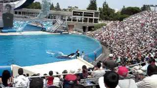 SeaWorld San Diego Believe The Spectacular Shamu Show  p3 [upl. by Einahpats]