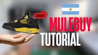 COMO COMPRAR REPS en MULEBUY NUEVO PANDABUY desde ARGENTINA  Tutorial Completo 2025 [upl. by Nithsa834]