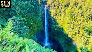 Hike to Akaka Falls Big Island Hawaii [upl. by Zaneta]