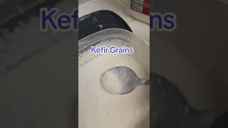 How to Make Kefir at Home Easy StepbyStep Guide [upl. by Sterne925]