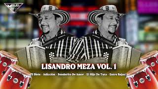 Mix Lisandro Meza Vol 1 2023  El Siete Adicción Hijo De Tuta Entre Rejas  DJ Miguel Hernández [upl. by Mattson297]