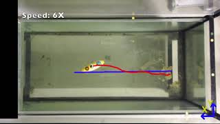 Local Koopman Operators for DataDriven Control of Robotic Systems [upl. by Milla]