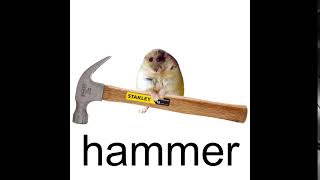 hammer [upl. by Pengelly]