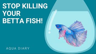 Keeping Your Betta Fish Happy And Healthy Key Tips For Success [upl. by Pretrice]