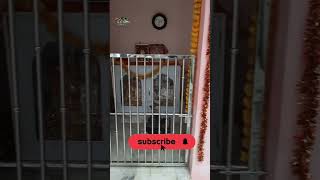 🛕SS Mini Gate 🔥👍prayagraj [upl. by Cressy632]