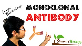 Monoclonal antibody  monoclonal antibody production using hybridoma technology [upl. by Albric334]