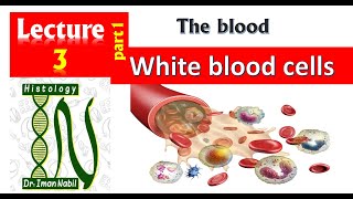 3a Histology of White blood cells part1IntroductionBlood and lymphoid system [upl. by Ardiekal]