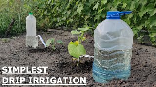 The EASIEST DRIP IRRIGATION DIY in a FEW MINUTES [upl. by Herold]