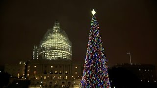 US Capitol Christmas tree switched on [upl. by Belva]