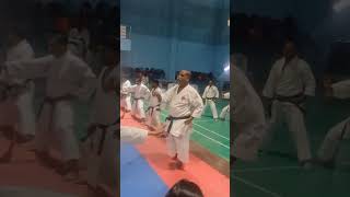 KARATE BASIC TECHNIQUES  TISKA INDIA COACH  karate trending trendingshorts viral viralvideo [upl. by Ahtenak43]