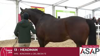 Lot 13  Headman [upl. by Giesser]