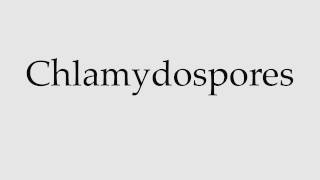 How to Pronounce Chlamydospores [upl. by Rather]