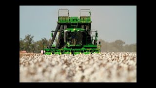 Cotton Picker Essentials Overview 2024 [upl. by Ydna313]