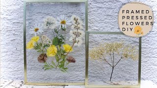 Framed Pressed Flowers DIY [upl. by Sulihpoeht]