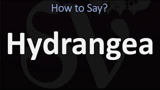 How to Pronounce Hydrangea CORRECTLY [upl. by Htebizile72]