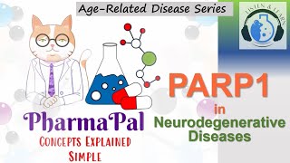 PARP1 in Neurodegenerative Diseases 🧬👳‍♂️👩‍🦳🧠💊📺 [upl. by Alemap]