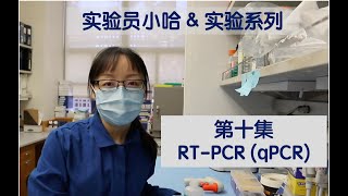 Visual Protocol 10  RTPCR qPCR  实验员小哈 第十集 [upl. by Alva545]