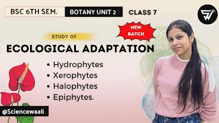 Ecological AdaptationHydrophytes Xerophytes Halophytes EpiphytesBSc 6th semester botany Unit 2 [upl. by Sama]