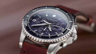 Victorinox  Watches  Maverick Chronograph [upl. by Beltran]