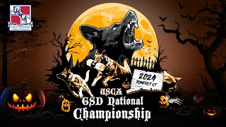 2024 USCA GSD National Championship  Sunday Part 1 [upl. by Seidler]