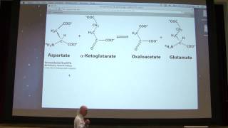 10 Kevin Aherns Biochemistry  Enzymes II [upl. by Ahsilek663]