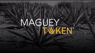 Presentación MAGUEYTOKEN ® [upl. by Heddy]