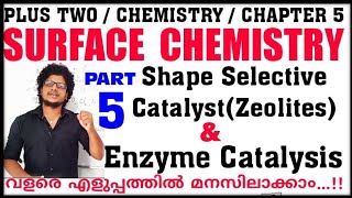 Enzyme Catalysis  Surface Chemistry class 12 in malayalam  Zeolites  Shape selective catalyst [upl. by Kerat190]