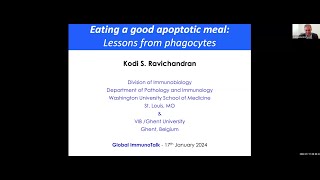 quotHow to eat a good apoptotic meal – lessons from phagocytesquot by Dr Kodi Ravichandran [upl. by Eelarac]