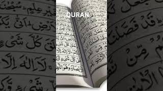 Allah Quran all Majid [upl. by Aronel]