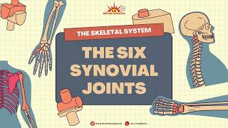 🦴 Understanding the Six Synovial Joints Shivam Hospital Dombivli 🦴 [upl. by Ojeitak]