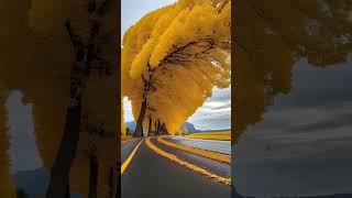 Nature Yellow Tree nature naturevideo shorts [upl. by Akitahs]