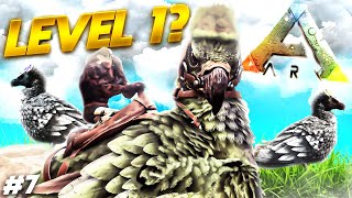 Harte JAGD nach dem High Level😨  ARK Survival Ascended [upl. by Coulter443]