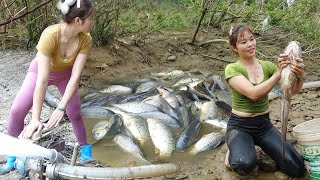 Full Video Fishing Techniques in The Wild How to Fishing in The Wild Harvest Many Big Fish [upl. by Lizette629]