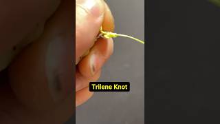 How To Tie A Trilene Knot fishing knots shorts [upl. by Marcin]