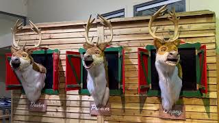 CHRISTMAS SONGS WITH THE SINGING REINDEER [upl. by Bruce518]