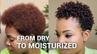 Styling my DRY natural hair  wash and go [upl. by Haelat]