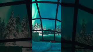 5 Reasons to Stay in Finland’s Glass Igloos for the Northern Lights [upl. by Nerred]