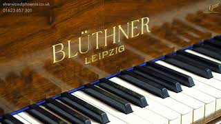 Blüthner Style 4 Baby Grand Piano in Walnut 119102  Comparison Demonstration Sherwood Phoenix [upl. by Raff917]