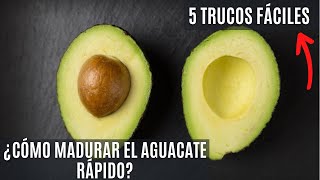 ¿Madurar el Aguacate o Palta rápido 🥑5 trucos muy fáciles de aplicar [upl. by Elfrieda361]