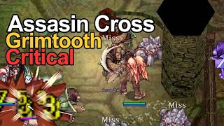 Ragnarok Classic GGT │ Assasin Cross Cri Grimtooth │ Road to 100 M Zeny  EP19 [upl. by Enelrihs]