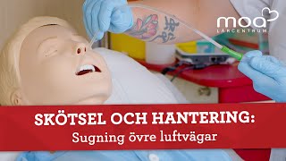 Skötsel och hantering  Sugning övre luftvägar [upl. by Damle233]