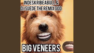 Big Veneers feat Dj Suede The Remix God [upl. by Ellenaej]