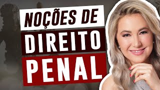 NOÇÕES GERAIS DE DIREITO PENAL  INTRODUÇÃO AO DIREITO PENAL [upl. by Wiggins]