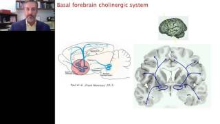 Jim Fadel  The OrexinHypocretin System in Aging and Cognition [upl. by Nairad]