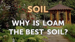 Why Is Loam the Best Soil [upl. by Sekofski]