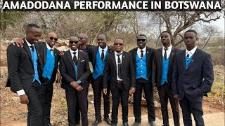 Amadodana Ase Katima Mulilo Performance In Botswana [upl. by Pembroke]