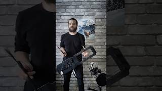 Miracle Of Sound  Valhalla Calling tagelharpaviolin cover tagelharpa talharpa scandinavia [upl. by Darsie868]