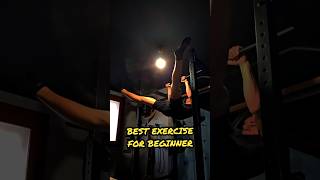 BEST EXERCISE FOR BEGINNERS gym calisthenics workout [upl. by Niraj]